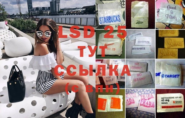трава Абаза