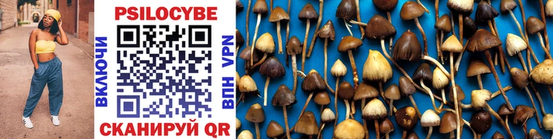 hydra как зайти  Тюкалинск  Псилоцибиновые грибы Cubensis 