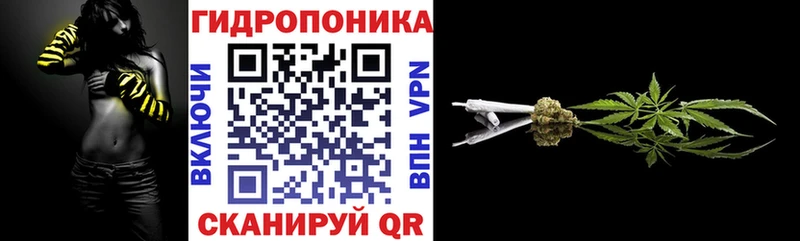 площадка телеграм  Тюкалинск  Бошки Шишки гибрид  кракен tor 